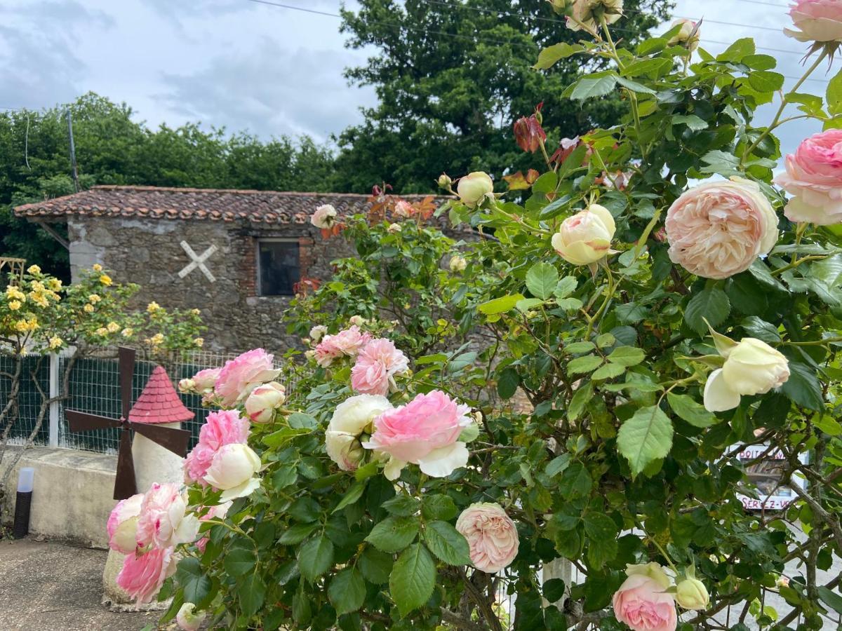 Hotel Le Petit Moulin Pouzauges Esterno foto